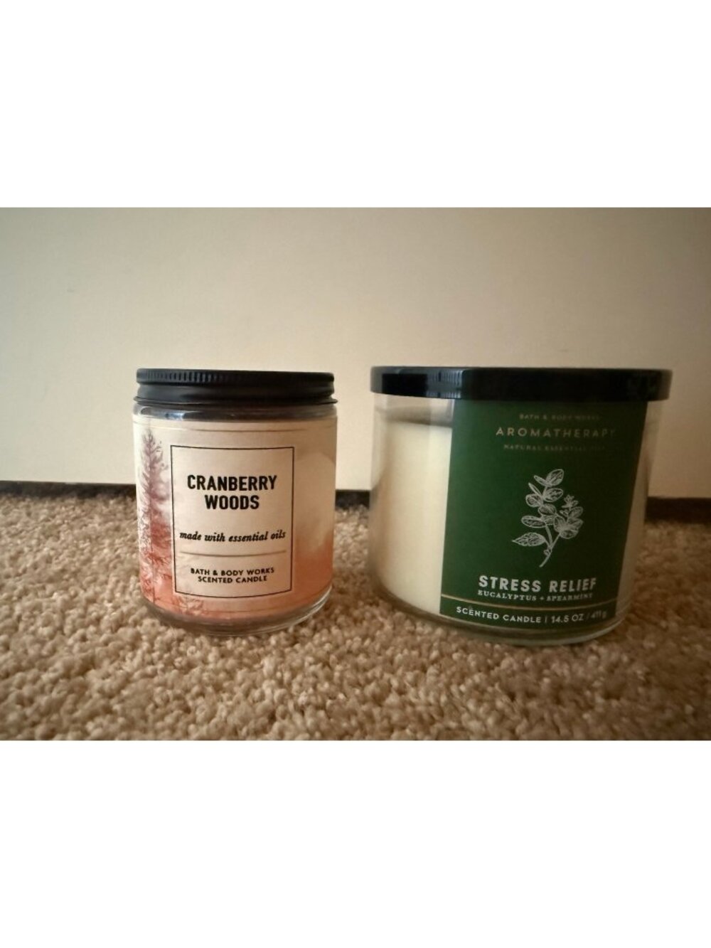 2 NEW bath & Body works candles